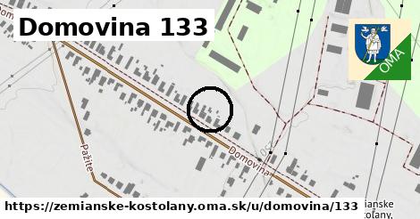 Domovina 133, Zemianske Kostoľany