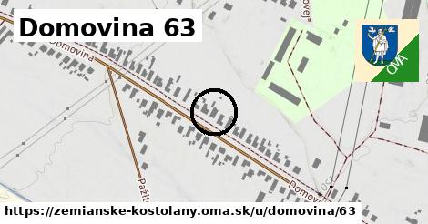 Domovina 63, Zemianske Kostoľany