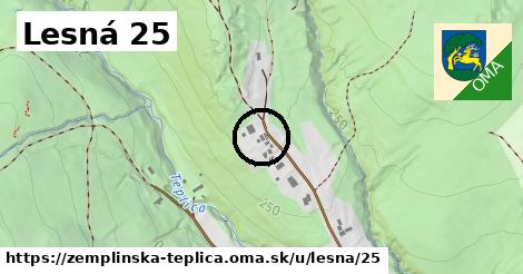 Lesná 25, Zemplínska Teplica