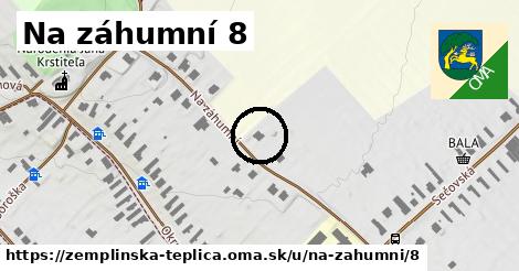 Na záhumní 8, Zemplínska Teplica