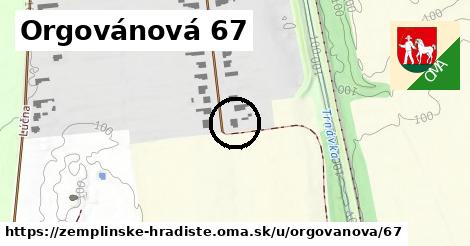 Orgovánová 67, Zemplínske Hradište