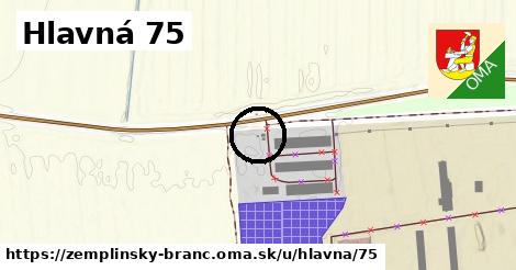 Hlavná 75, Zemplínsky Branč