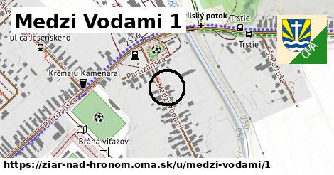 Medzi Vodami 1, Žiar nad Hronom