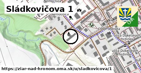 Sládkovičova 1, Žiar nad Hronom