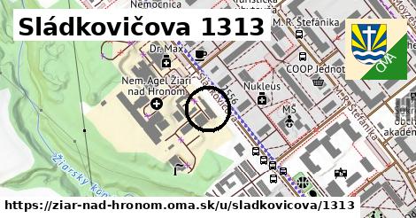 Sládkovičova 1313, Žiar nad Hronom