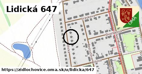 Lidická 647, Židlochovice