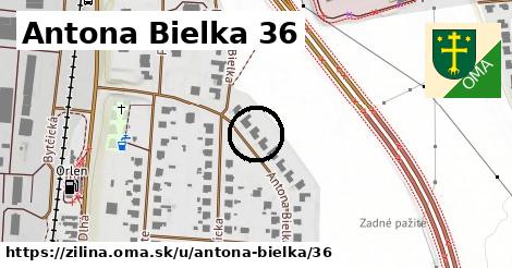 Antona Bielka 36, Žilina
