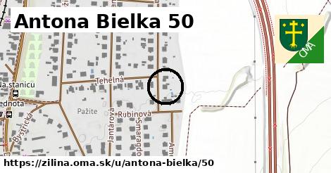 Antona Bielka 50, Žilina