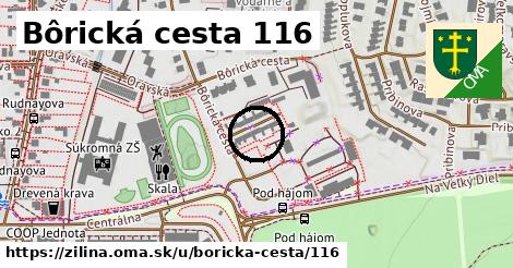 Bôrická cesta 116, Žilina