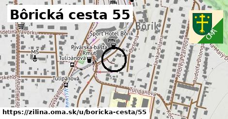 Bôrická cesta 55, Žilina