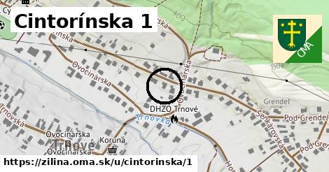 Cintorínska 1, Žilina