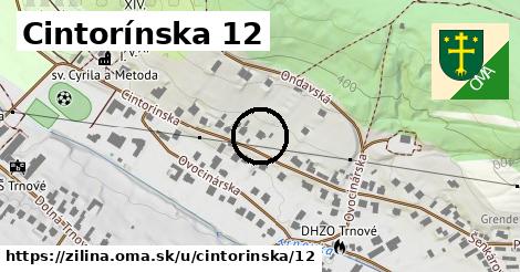 Cintorínska 12, Žilina