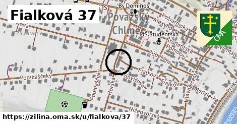 Fialková 37, Žilina