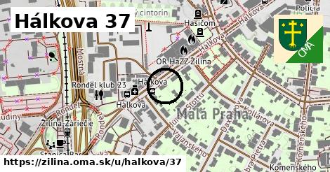 Hálkova 37, Žilina