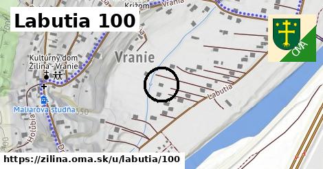 Labutia 100, Žilina