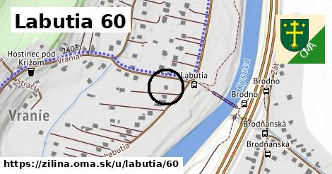 Labutia 60, Žilina