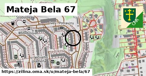 Mateja Bela 67, Žilina