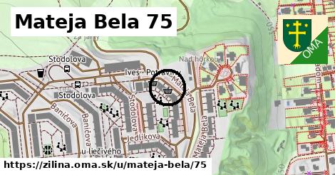 Mateja Bela 75, Žilina