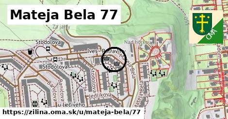 Mateja Bela 77, Žilina