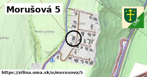 Morušová 5, Žilina