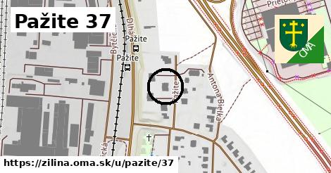 Pažite 37, Žilina