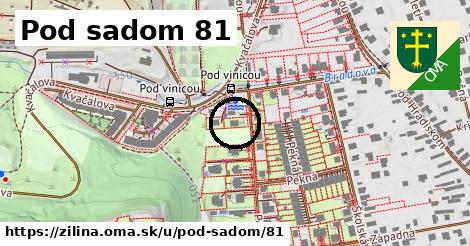 Pod sadom 81, Žilina