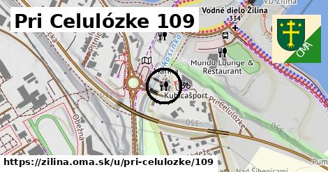 Pri Celulózke 109, Žilina