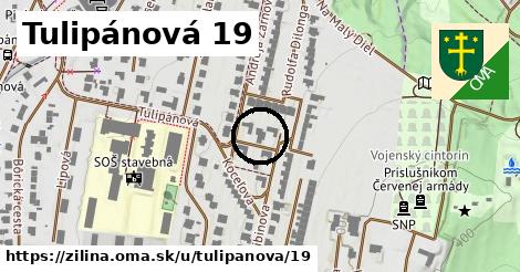 Tulipánová 19, Žilina