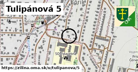 Tulipánová 5, Žilina