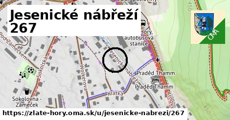 Jesenické nábřeží 267, Zlaté Hory