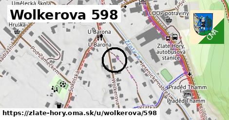 Wolkerova 598, Zlaté Hory