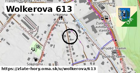 Wolkerova 613, Zlaté Hory