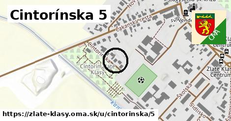 Cintorínska 5, Zlaté Klasy