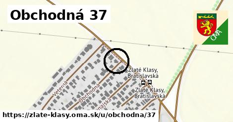 Obchodná 37, Zlaté Klasy