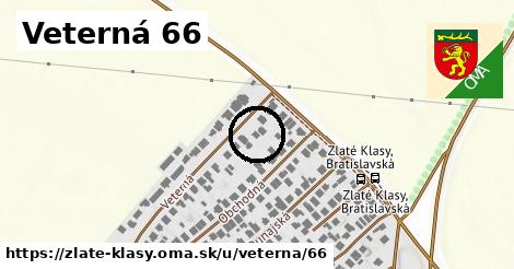 Veterná 66, Zlaté Klasy