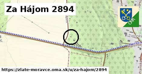 Za Hájom 2894, Zlaté Moravce