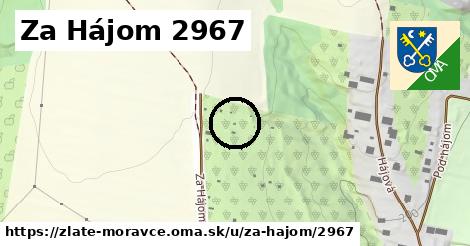 Za Hájom 2967, Zlaté Moravce