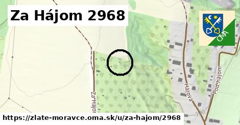 Za Hájom 2968, Zlaté Moravce