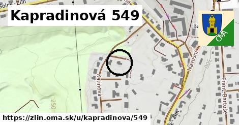 Kapradinová 549, Zlín