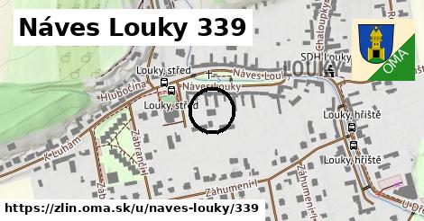 Náves Louky 339, Zlín
