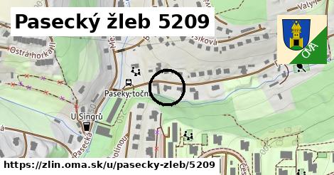 Pasecký žleb 5209, Zlín