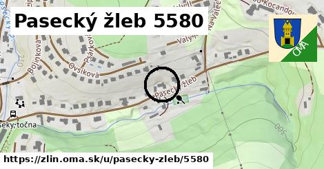 Pasecký žleb 5580, Zlín