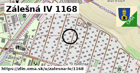 Zálešná IV 1168, Zlín