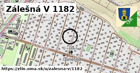 Zálešná V 1182, Zlín