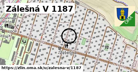 Zálešná V 1187, Zlín