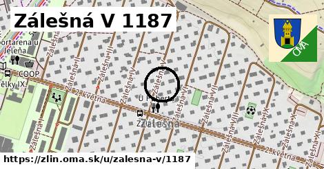 Zálešná V 1187, Zlín