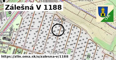 Zálešná V 1188, Zlín