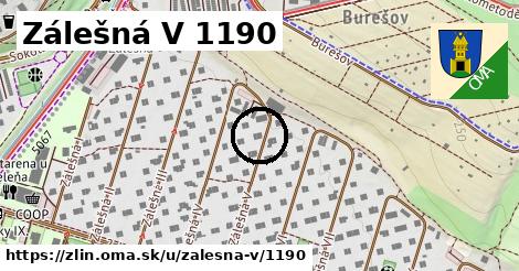 Zálešná V 1190, Zlín