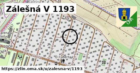 Zálešná V 1193, Zlín