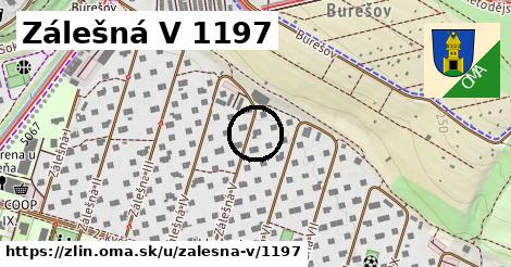 Zálešná V 1197, Zlín